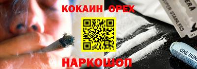 гидра Новодвинск