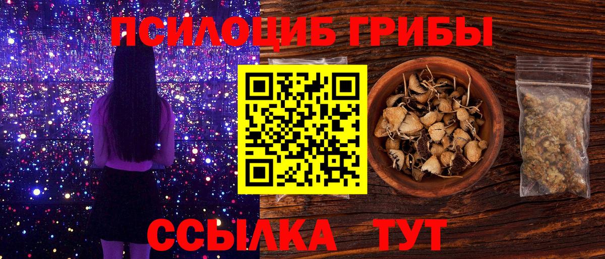 Псилоцибиновые грибы Psilocybe  Галлюциногенные грибы мухоморы  Вход с VPN  Сокол 