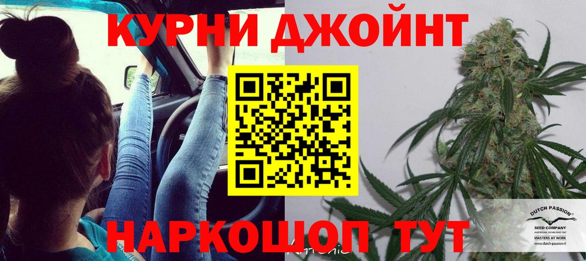 Каннабис конопля Сокол